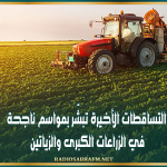 اتحاد الفلاحة ..التساقطات الأخيرة تبشّر بمواسم ناجحة في الزراعات الكبرى والزياتين