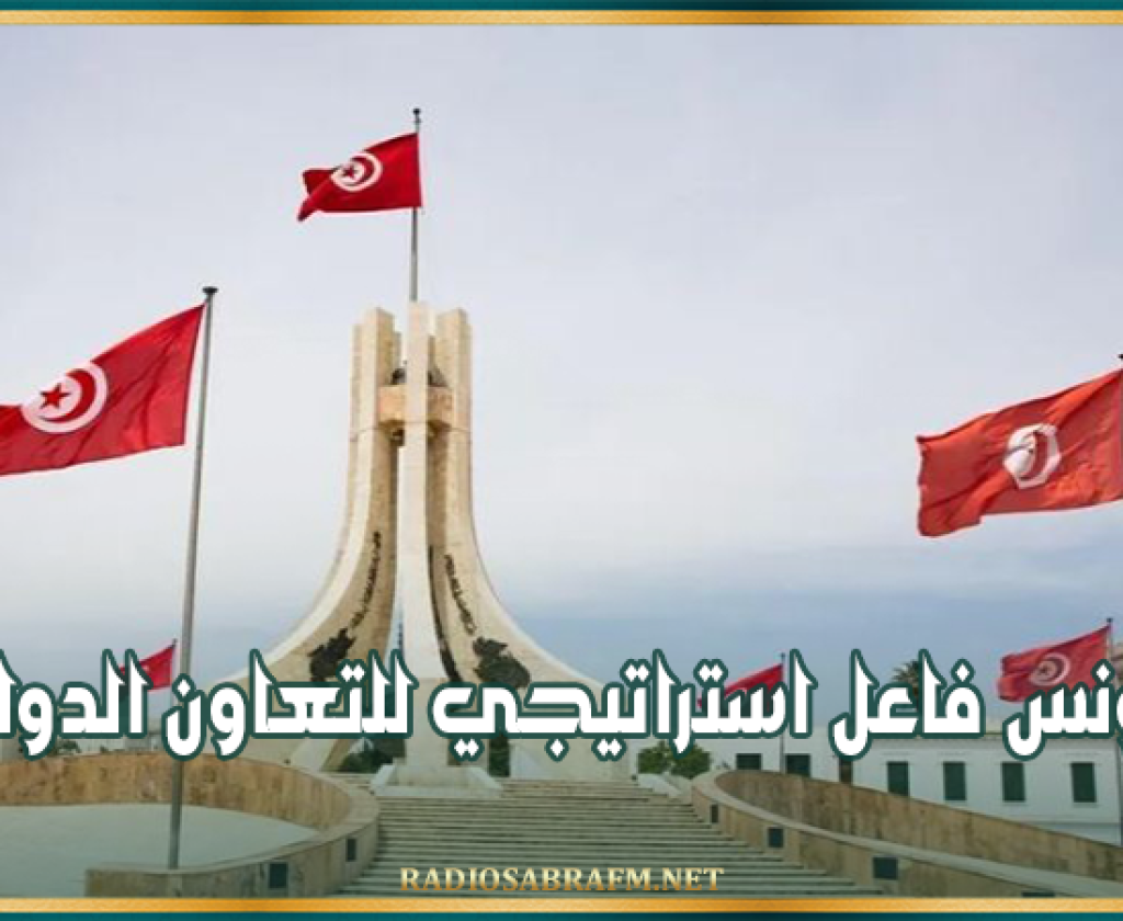 مسؤول أممي: تونس فاعل استراتيجي للتعاون الدولي