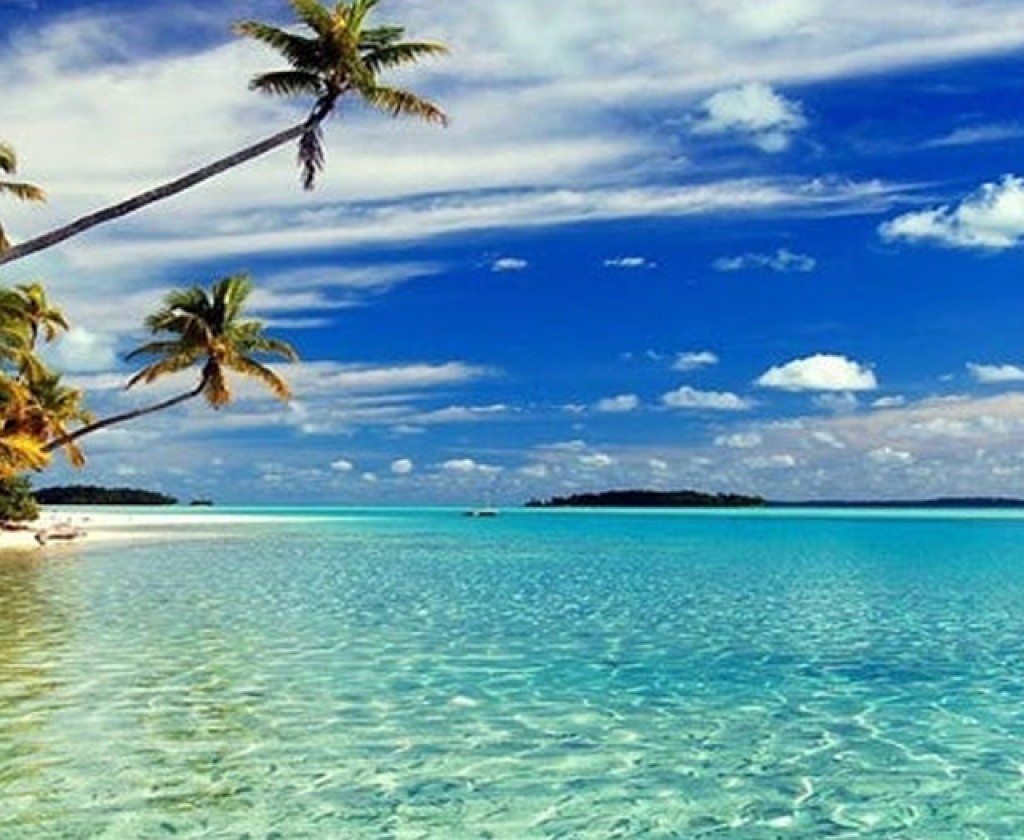 تعهّدات بمعالجة النقائص وتحسين الخدمات لإنجاح الموسم السياحي لصائفة 2026