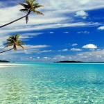 تعهّدات بمعالجة النقائص وتحسين الخدمات لإنجاح الموسم السياحي لصائفة 2026