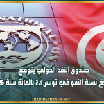 صندوق النقد الدولي يتوقع أن تبلغ نسبة النمو في تونس 2،1 بالمائة سنة 2026