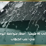 تصل إلى 80 مليمترا.. أمطار متواصلة اليوم وغدا في أغلب الجهات