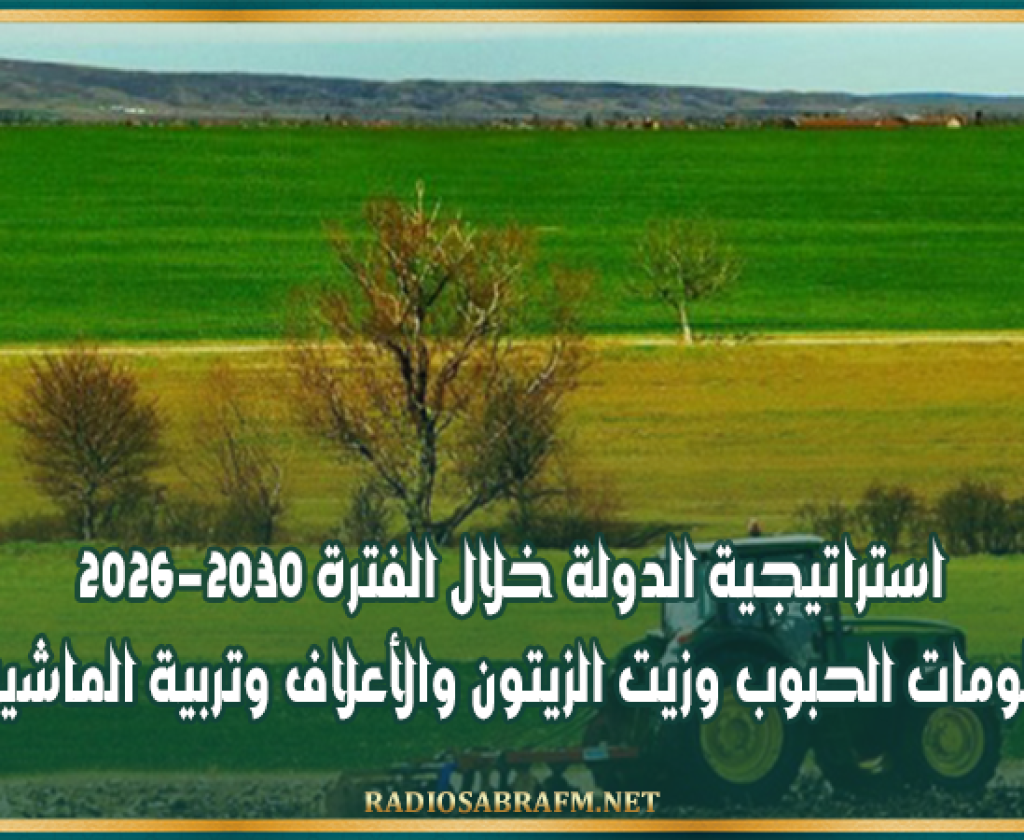 استراتيجية الدولة خلال الفترة 2026-2030 في منظومات الحبوب وزيت الزيتون والأعلاف وتربية الماشية والألبان