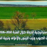 استراتيجية الدولة خلال الفترة 2026-2030 في منظومات الحبوب وزيت الزيتون والأعلاف وتربية الماشية والألبان