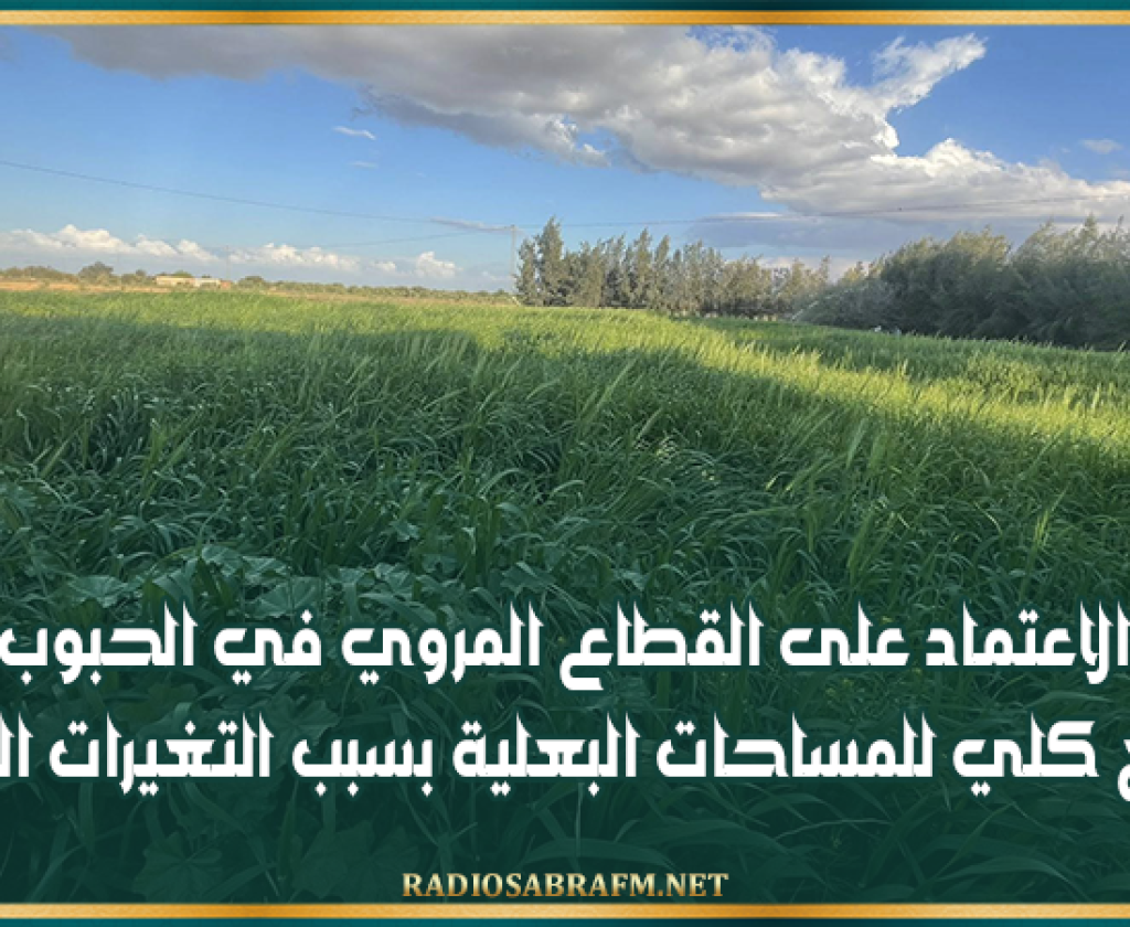 القيروان: الاعتماد على القطاع المروي في الحبوب وتراجع كلي للمساحات البعلية بسبب التغيرات المناخية