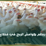 غدا..إصدار مقرر ينظم هوامش الربح في قطاع الدواجن