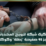 تفكيك شبكة لترويج المخدرات وحجز 95 صفيحة 'زطلة' وكوكايين