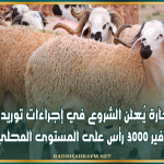 وزير التجارة يُعلن الشروع في إجراءات توريد أضاح وتوفير 3000 رأس على المستوى المحلي