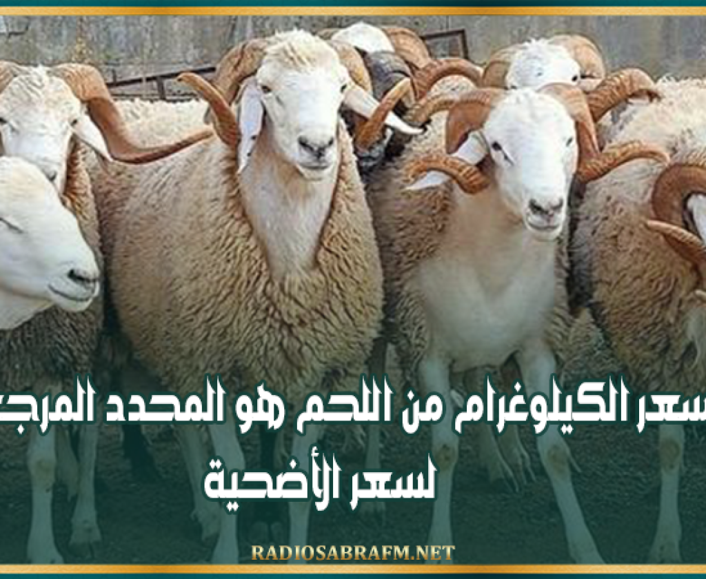 نقابة الفلاحين: سعر الكيلوغرام من اللحم هو المحدد المرجعي لسعر الأضحية