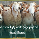 نقابة الفلاحين: سعر الكيلوغرام من اللحم هو المحدد المرجعي لسعر الأضحية