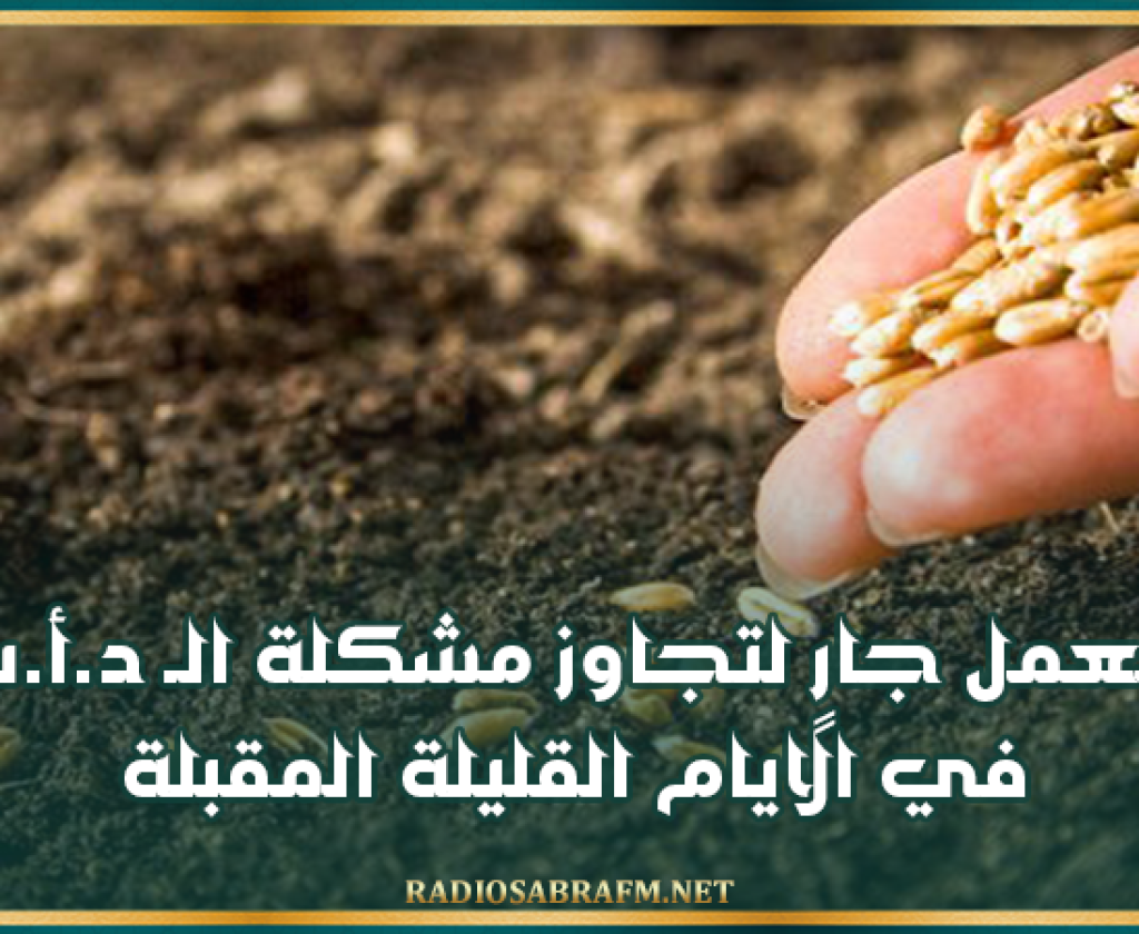 مندوب الفلاحة بالقيروان: العمل جارٍ لتجاوز مشكلة الـ (د.أ.ب) في الايام القليلة المقبلة