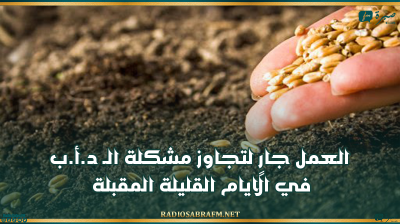 مندوب الفلاحة بالقيروان: العمل جارٍ لتجاوز مشكلة الـ (د.أ.ب) في الايام القليلة المقبلة