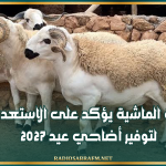 ديوان تربية الماشية يؤكد على الاستعداد المبكر لتوفير أضاحي عيد 2027