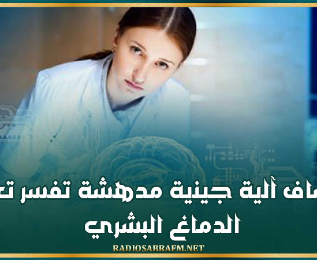 اكتشاف آلية جينية مدهشة تفسر تعقيد الدماغ البشري