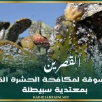 القصرين: نشر دعسوقة لمكافحة الحشرة القرمزية بمعتدية سبيطلة