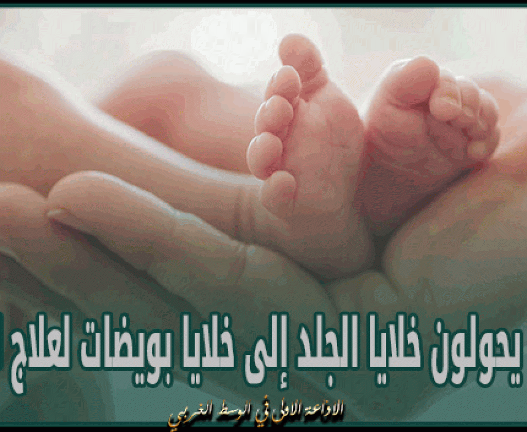 علماء يحولون خلايا الجلد إلى خلايا بويضات لعلاج العقم