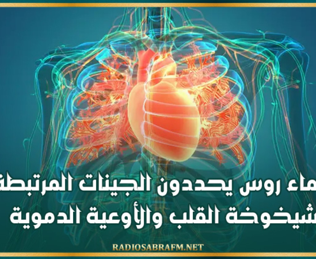علماء روس يحددون الجينات المرتبطة بشيخوخة القلب والأوعية الدموية