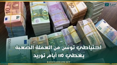 احتياطي تونس من العملة الصعبة يغطي 110 أيام توريد