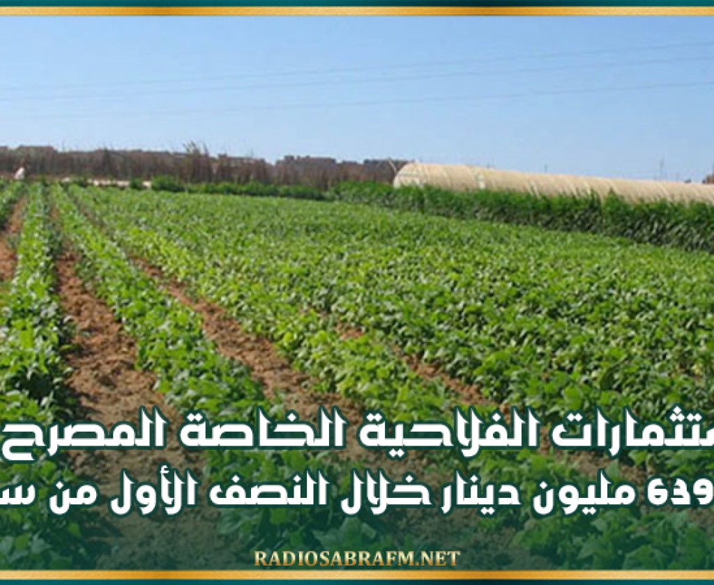 الاستثمارات الفلاحية الخاصة المصرح بها بلغت 639.2 مليون دينار خلال النصف الأول من سنة 2024