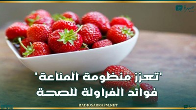 'تعزز منظومة المناعة'.. فوائد الفراولة للصحة
