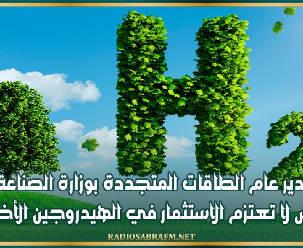 مدير عام الطاقات المتجددة بوزارة الصناعة:'تونس لا تعتزم الاستثمار في الهيدروجين الأخضر'