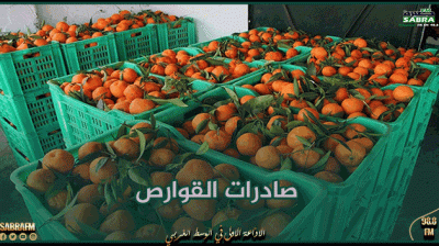 صادرات القوارص تناهز قيمتها 22 مليون دينار إلى غاية يوم 11 مارس الجاري