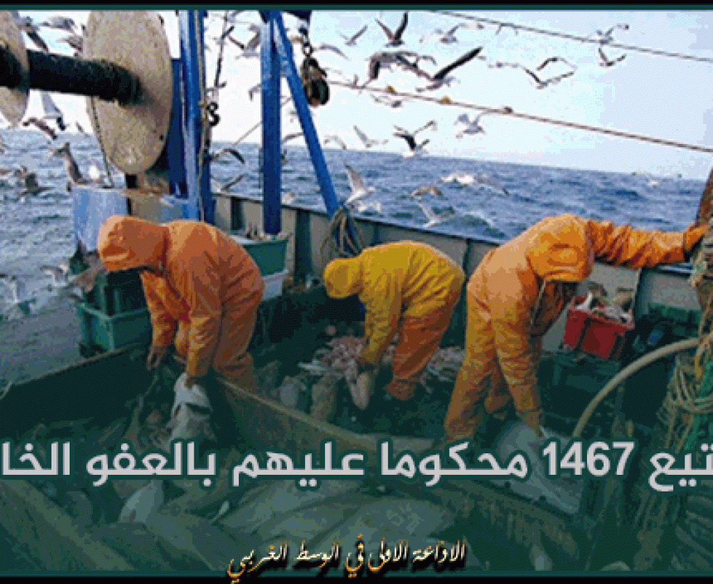 تونس تسجل فائضا في ميزان التجارة الخارجية لمنتوجات الصيد البحري بـ 78,8 مليون دينار