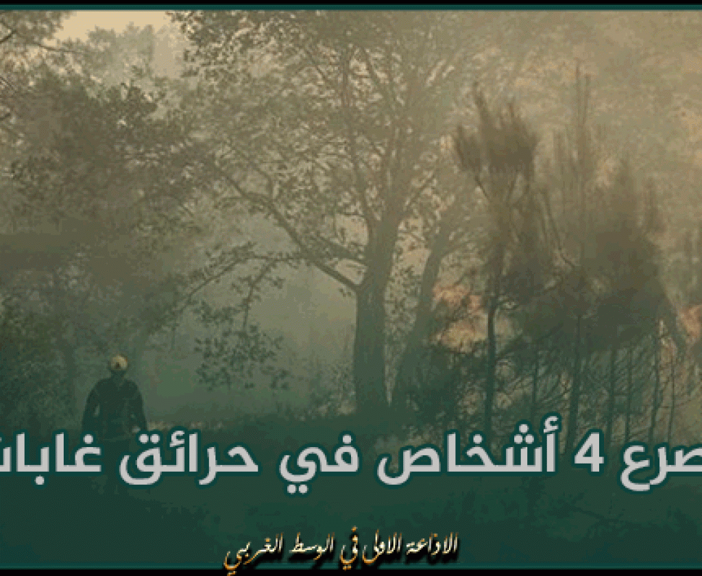 الصين: مصرع 4 أشخاص في حرائق غابات بمقاطعة يوننان