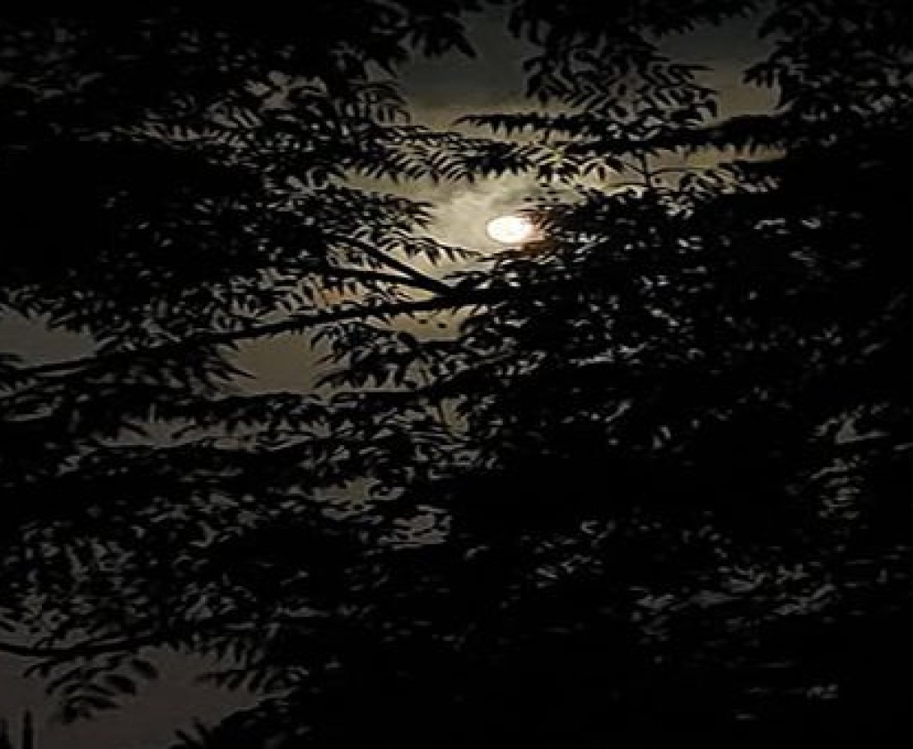 الطّقس هذه الليلة