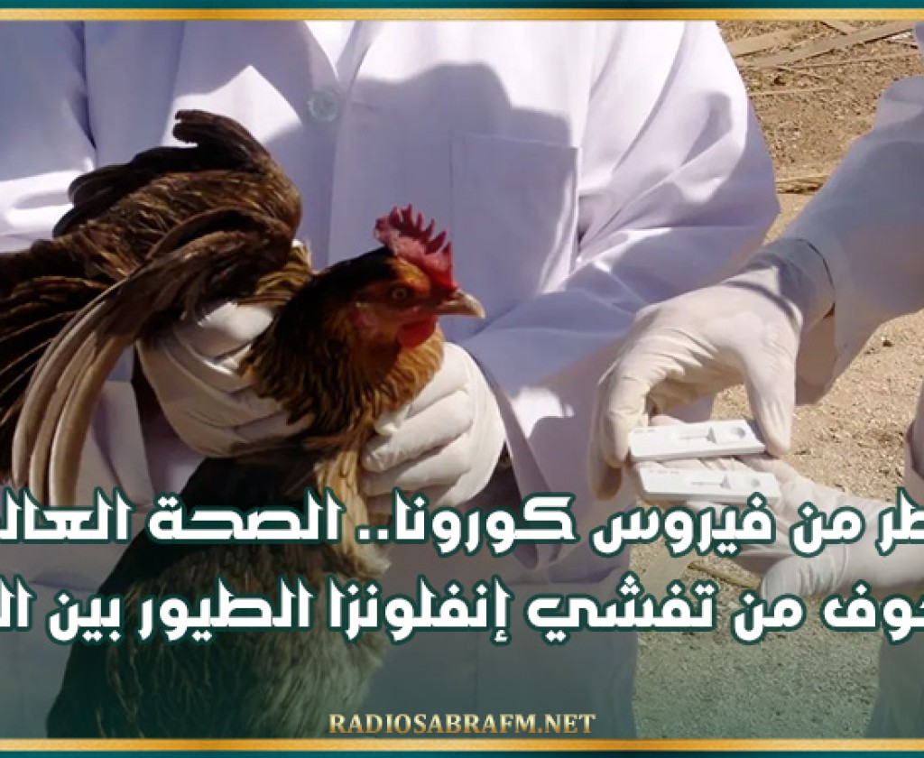 أخطر من فيروس كورونا.. الصحة العالمية تتخوف من تفشي إنفلونزا الطيور بين البشر