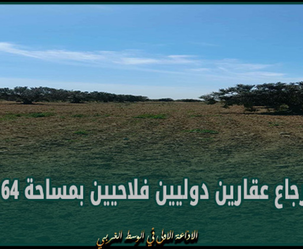 في صفاقس وجندوبة: استرجاع عقارين دوليين فلاحيين بمساحة 64 هك