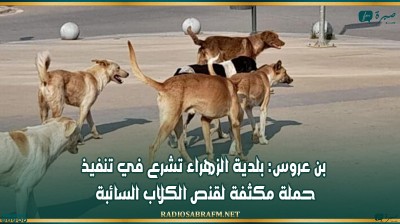 بن عروس: بلدية الزهراء تشرع في تنفيذ حملة مكثفة لقنص الكلاب السائبة