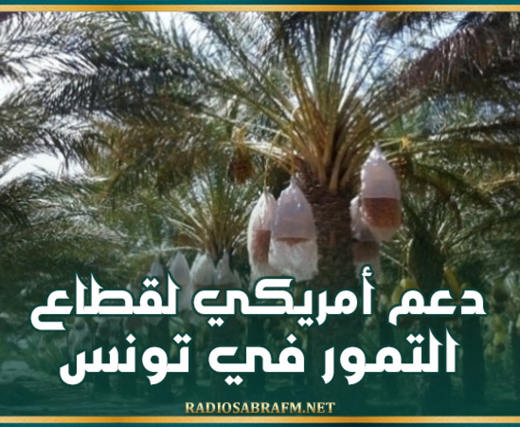 تخصيص استثمار بقيمة 5ر76 مليون دينار في اطار برنامج الغذاء من اجل التقدم الامريكي لدعم قطاع التمور