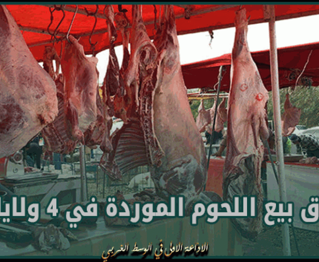 بداية من اليوم.. انطلاق بيع اللحوم الموردة من فرنسا في 4 ولايات