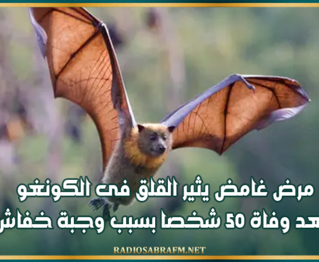 مرض غامض يثير القلق فى الكونغو بعد وفاة 50 شخصا بسبب وجبة خفاش