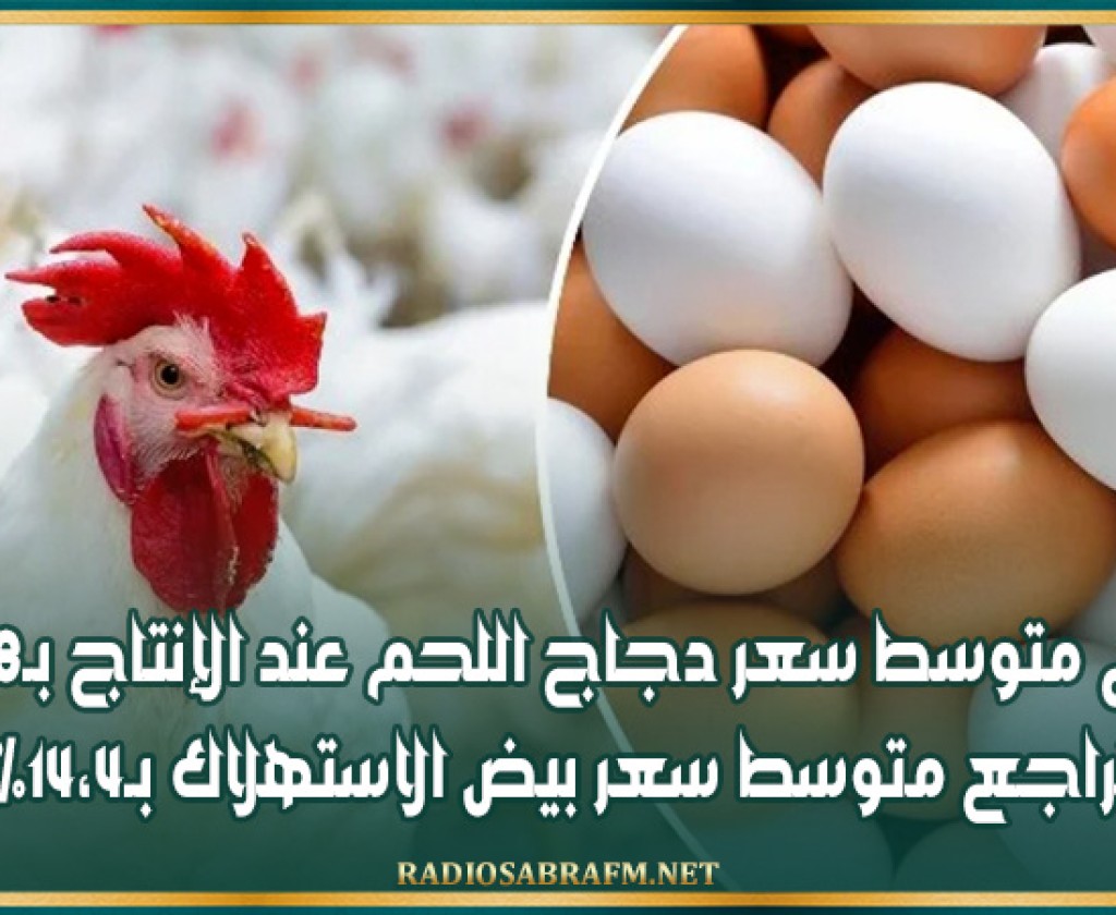 ارتفاع متوسط سعر دجاج اللحم عند الإنتاج بـ18،8% وتراجع متوسط سعر بيض الاستهلاك بـ14،4%