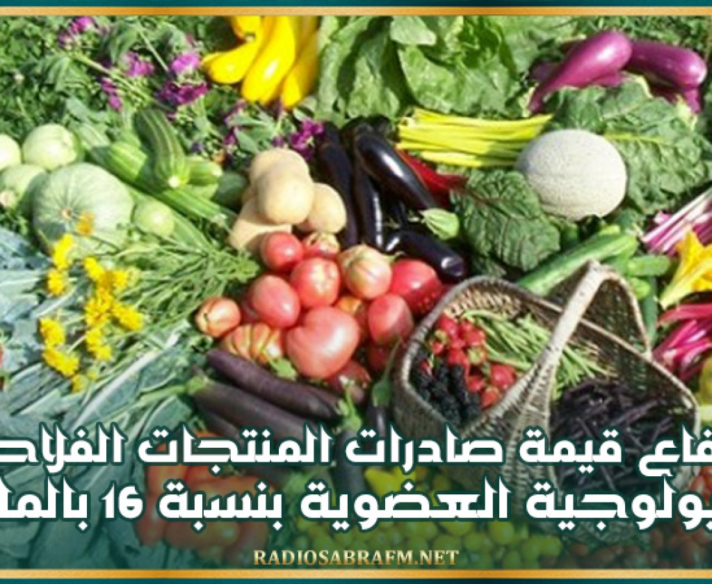 ارتفاع قيمة صادرات المنتجات الفلاحية البيولوجية العضوية بنسبة 16 بالمائة