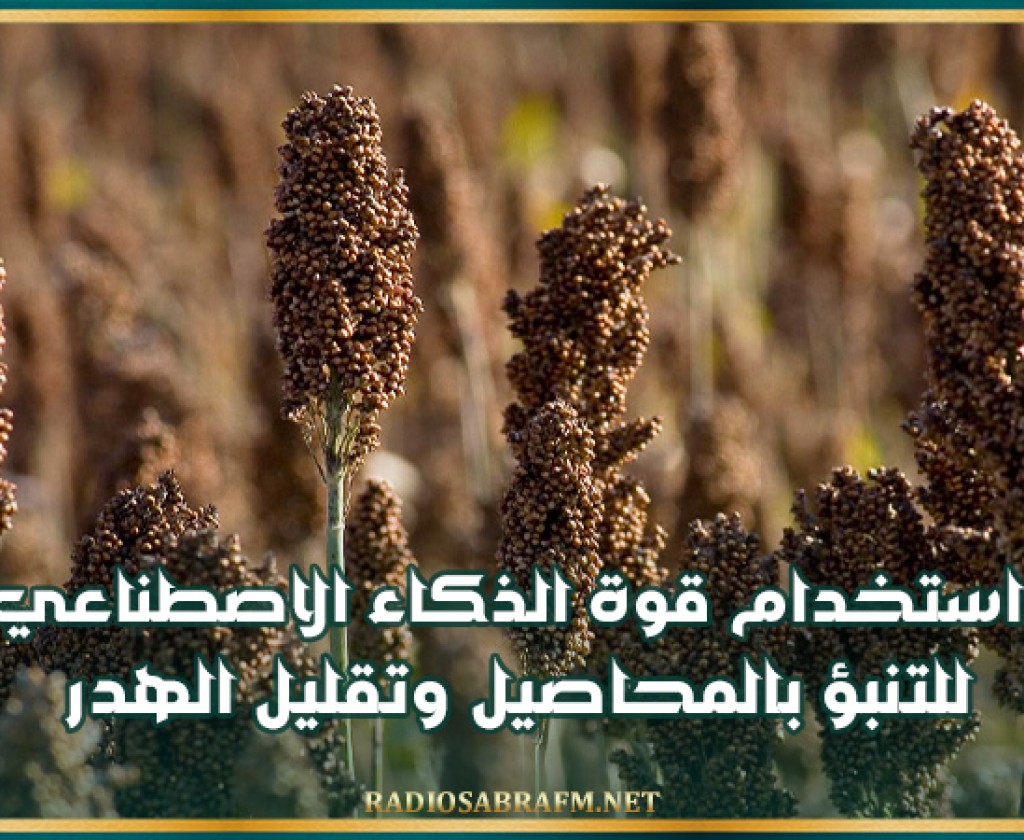 استخدام قوة الذكاء الاصطناعي للتنبؤ بالمحاصيل وتقليل الهدر