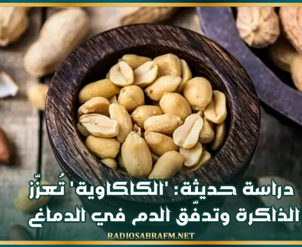 دراسة حديثة: 'الكاكاوية' تُعزّز الذاكرة وتدفّق الدم في الدماغ