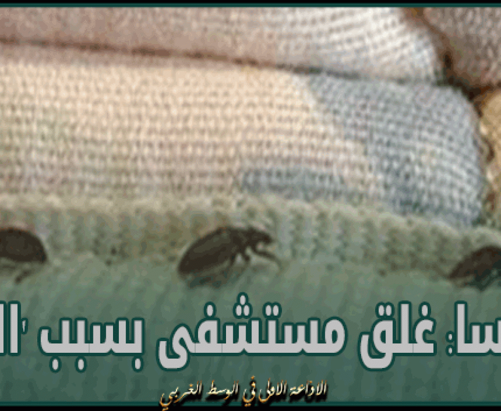 فرنسا: غلق مستشفى بسبب 'البقّ'