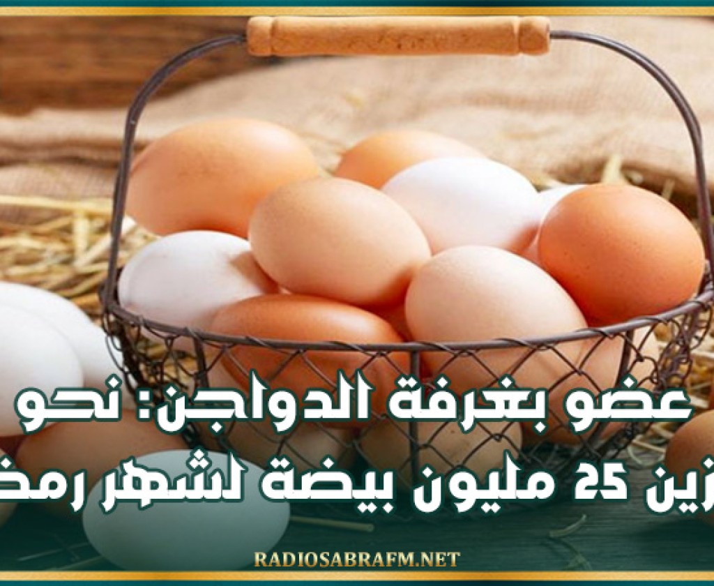 عضو بغرفة الدواجن: نحو تخزين 25 مليون بيضة لشهر رمضان