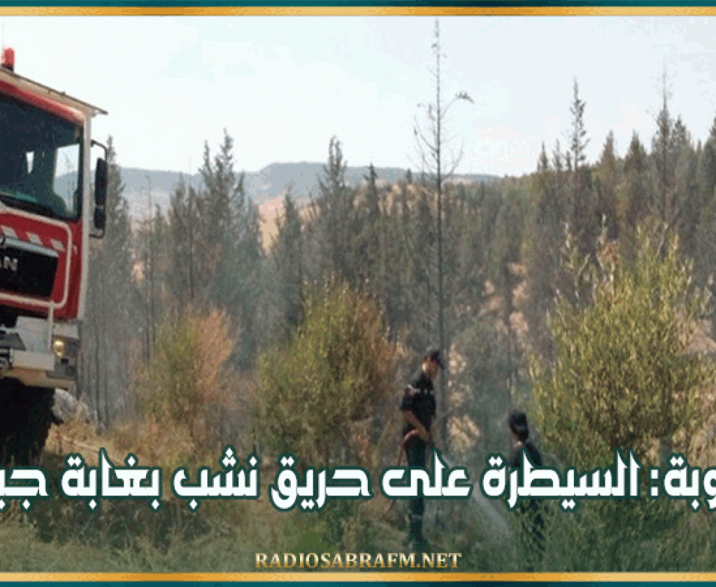 جندوبة: السيطرة على حريق نشب بغابة جبلية