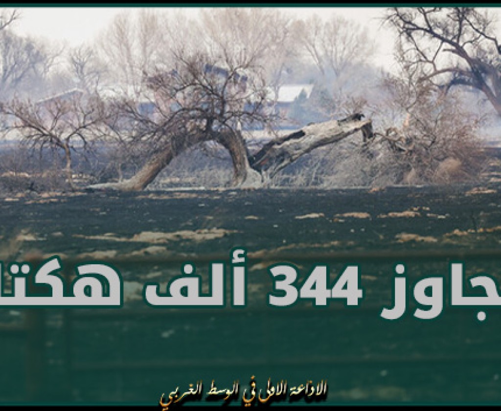 مساحة حرائق تكساس تتجاوز 344 ألف هكتار