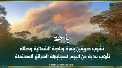 باجة: نشوب حريقين بنفزة وباجة الشمالية وحالة تأهب بداية من اليوم لمجابهة الحرائق المحتملة