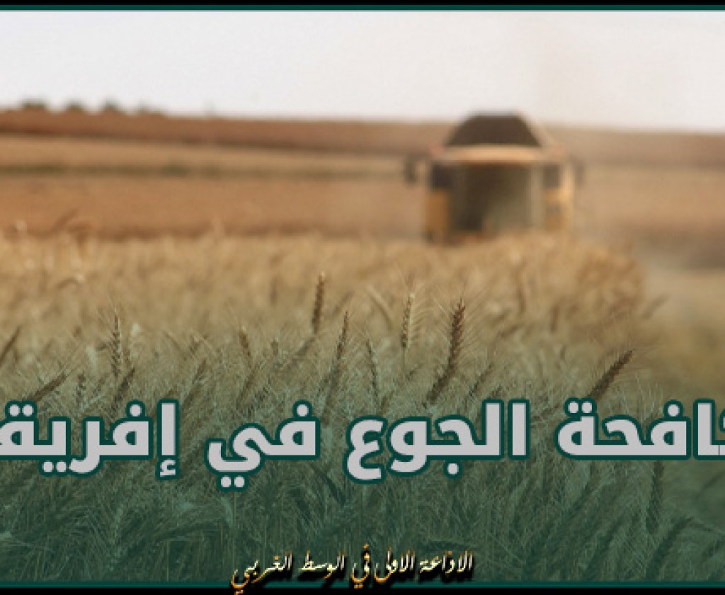 مسؤول في منظمة "الفاو": مساعدات روسيا من الحبوب ساهمت بمكافحة الجوع في إفريقيا