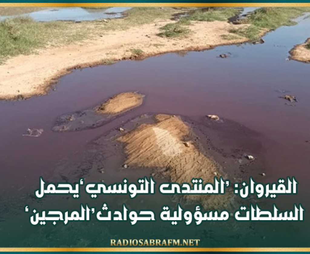 القيروان: 'المنتدى التونسي' يحمل السلطات مسؤولية حوادث 'المرجين'