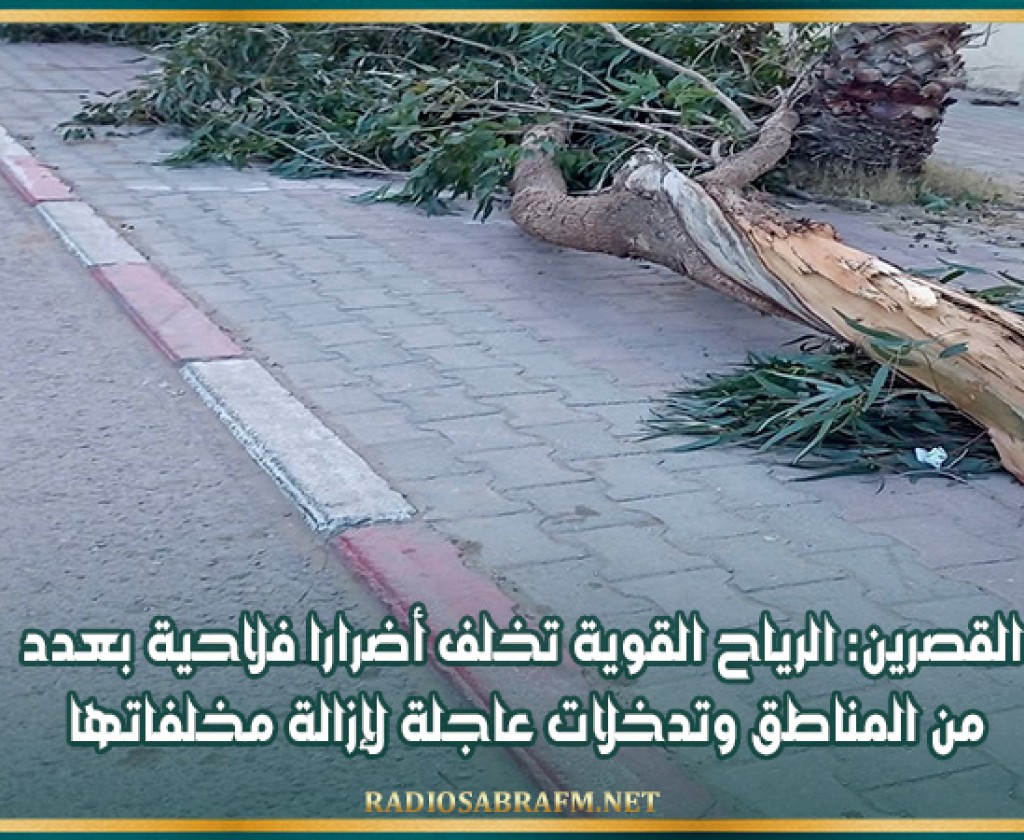 القصرين: الرياح القوية تخلف أضرارا فلاحية بعدد من المناطق وتدخلات عاجلة لإزالة مخلفاتها