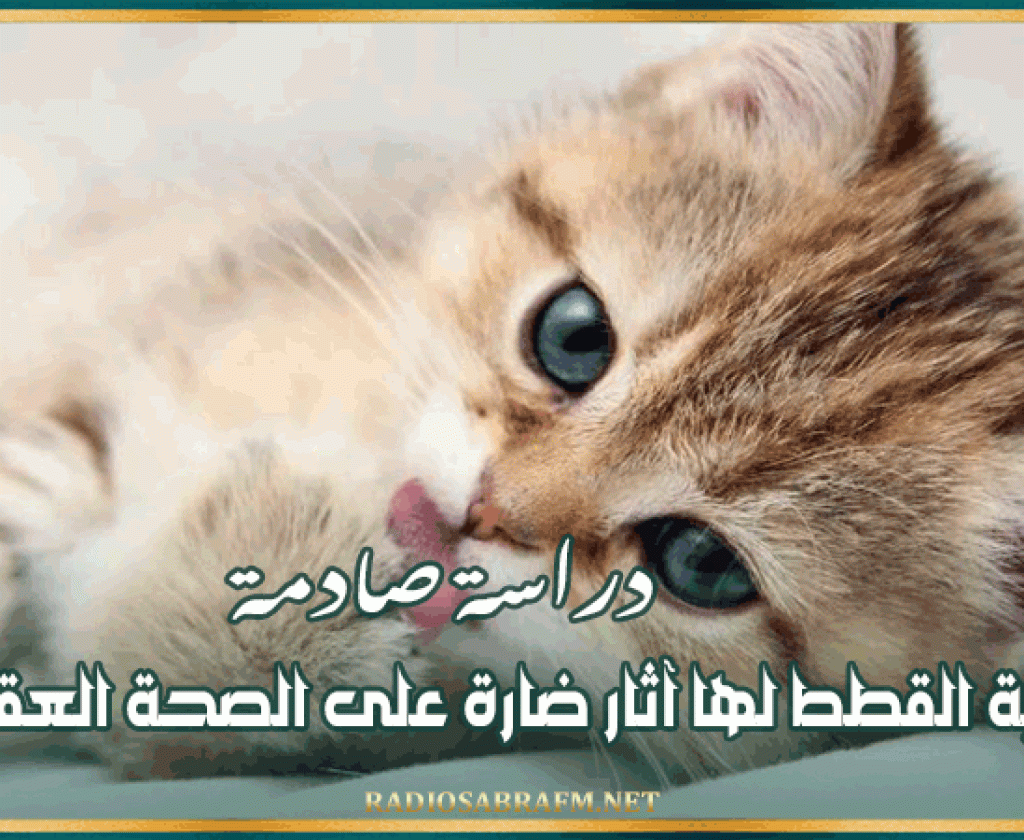 دراسة صادمة: تربية القطط لها آثار ضارة على الصحة العقلية