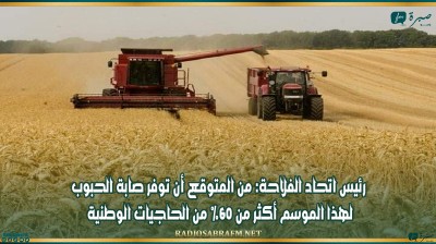 رئيس اتحاد الفلاحة: من المتوقع أن توفر صابة الحبوب لهذا الموسم أكثر من 60% من الحاجيات الوطنية