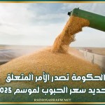 الحكومة تصدر الأمر المتعلق بتحديد سعر الحبوب لموسم 2025